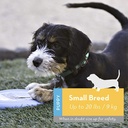 KONG FLYER PUPPY SMALL