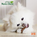 Nylabone Nutri dent Filet mignon Mini For Dog 5-10 Lbs Pack de 32 Unidades
