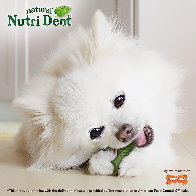 Nylabone Nutri dent Fresh Breath Mini For Dog 5-10 Lbs Pack de 32 Unidades