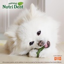 Nylabone Nutri dent Fresh Breath Mini For Dog 5-10 Lbs Pack de 32 Unidades