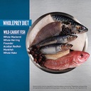 ORIJEN CAT 6 FISH CAT 4 LB/ 1.8 KG  COR4430-4