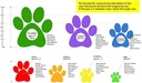 PAWZ BOTITAS DE GOMA DESECHABLES L