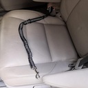CORREA DE SEGURIDAD PARA AUTO CON BUNGEE