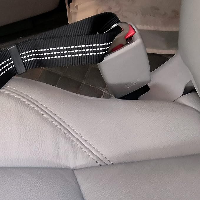 CORREA DE SEGURIDAD PARA AUTO CON BUNGEE