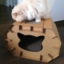 RASCADOR TIPO CASITA PARA GATO 2 EN 1