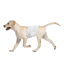 PAÑALES PARA MACHO TALLA S 12PCS