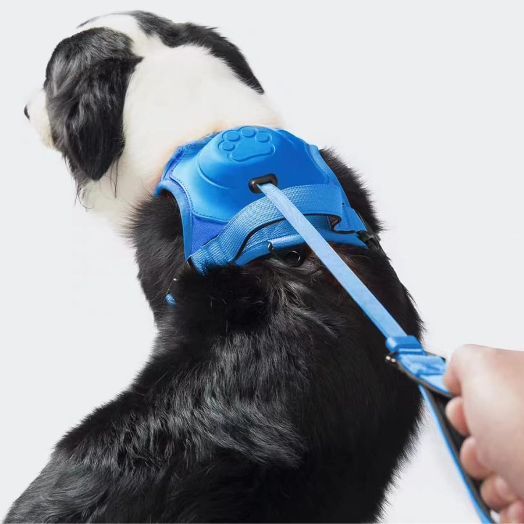 ARNES PARA PERROS 2 EN 1 AZUL TALLA M