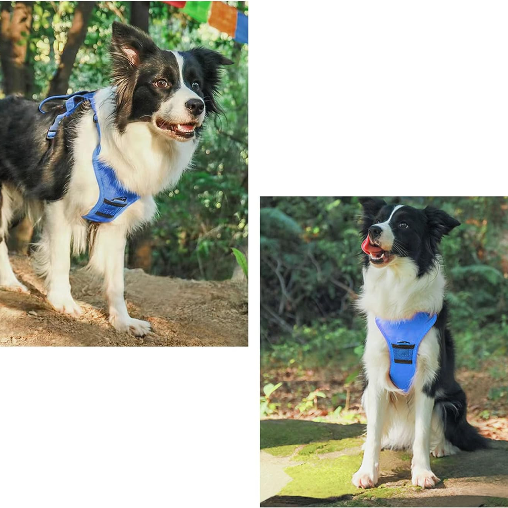 ARNES PARA PERROS 2 EN 1 AZUL TALLA M