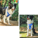 ARNES PARA PERROS 2 EN 1 AZUL TALLA M