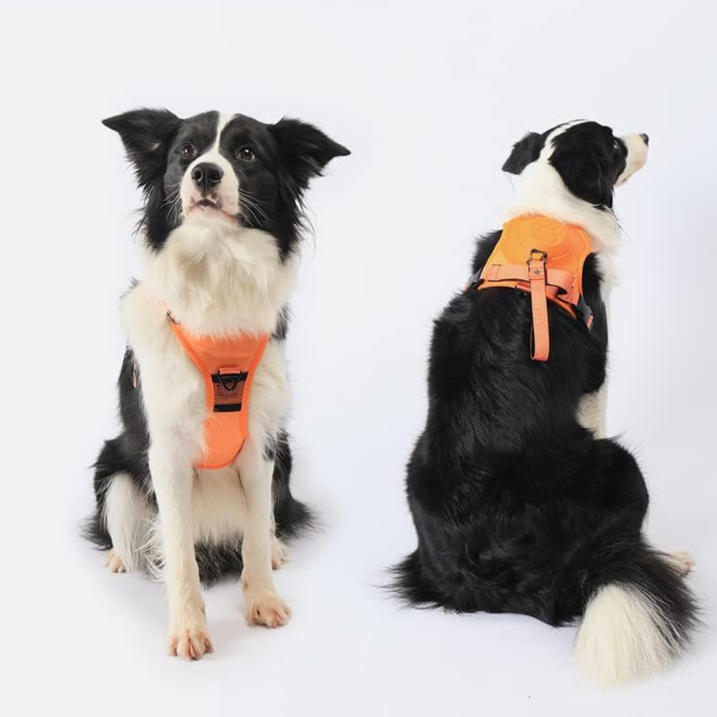 ARNES PARA PERROS 2 EN 1 NARANJA TALLA XL