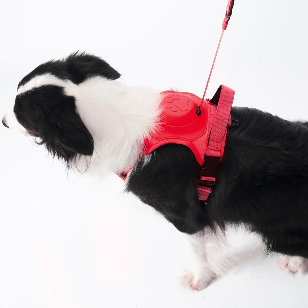 ARNES PARA PERROS 2 EN 1 ROJO TALLA L
