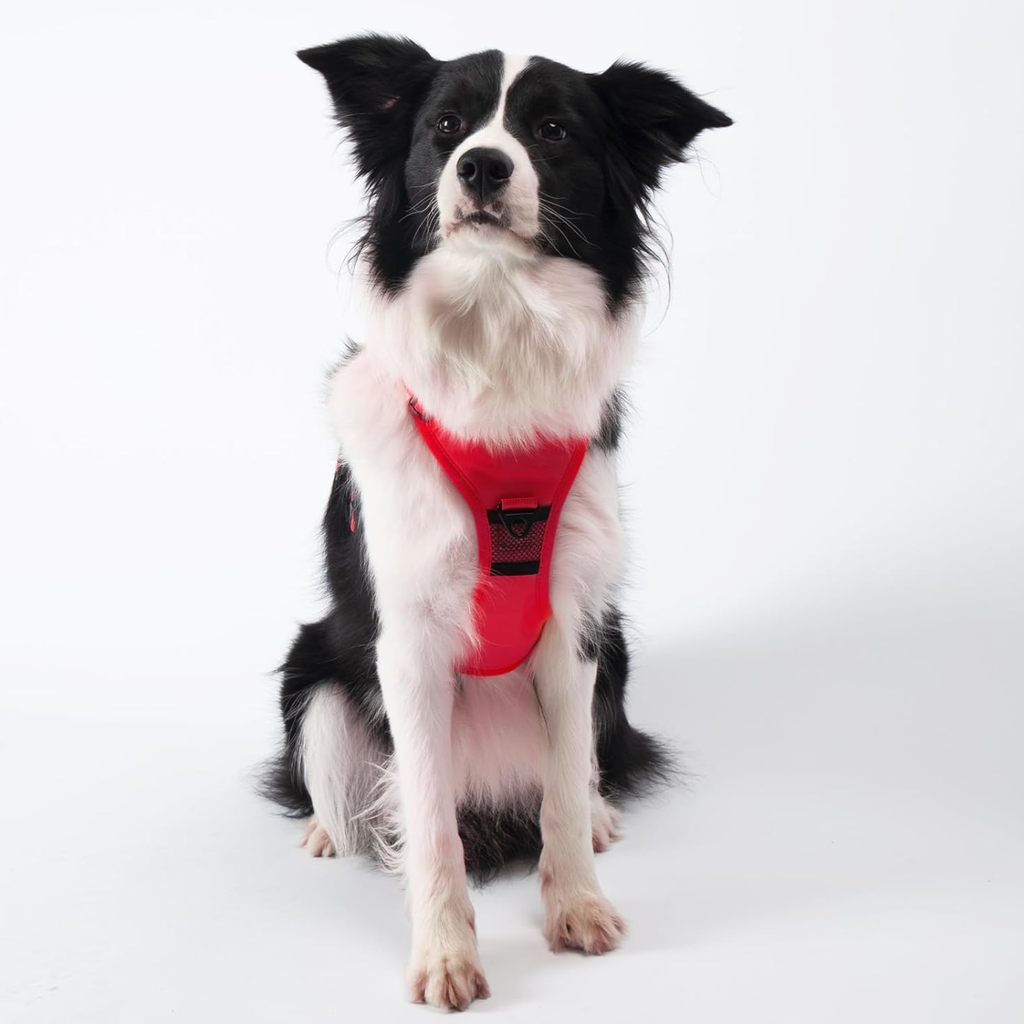 ARNES PARA PERROS 2 EN 1 ROJO TALLA L