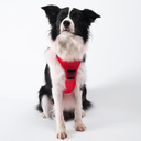 ARNES PARA PERROS 2 EN 1 ROJO TALLA L