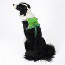 ARNES PARA PERROS 2 EN 1 VERDE TALLA L