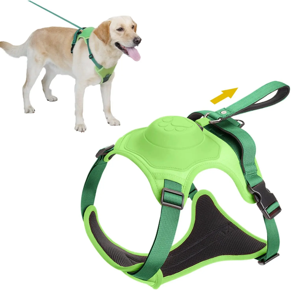 ARNES PARA PERROS 2 EN 1 VERDE TALLA XL