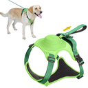 ARNES PARA PERROS 2 EN 1 VERDE TALLA XL