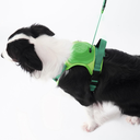 ARNES PARA PERROS 2 EN 1 VERDE TALLA XL