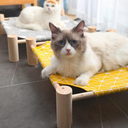 CATRE PARA MASCOTAS PEQUEÑAS AMARILLO