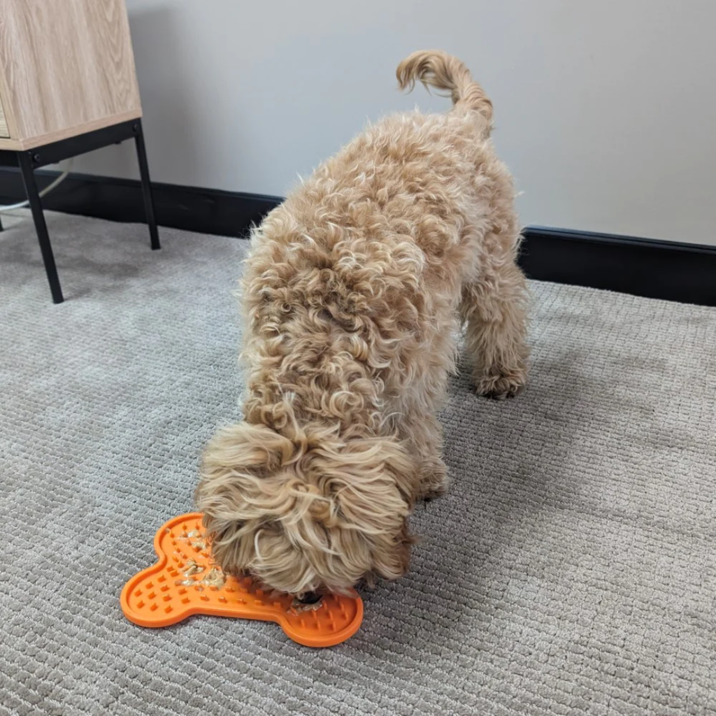 LICK MAT/ESTILO DE HUESO S