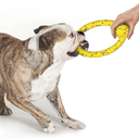 JUGUETE PARA MASCOTA/DE FUERZA ARO AMARILLO