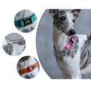 COLLAR DE ENTRENAMIENTO AQUA NEON/TALLA MEDIUM-LARGE