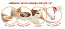 CATIT CREAMY TUNA 40GR