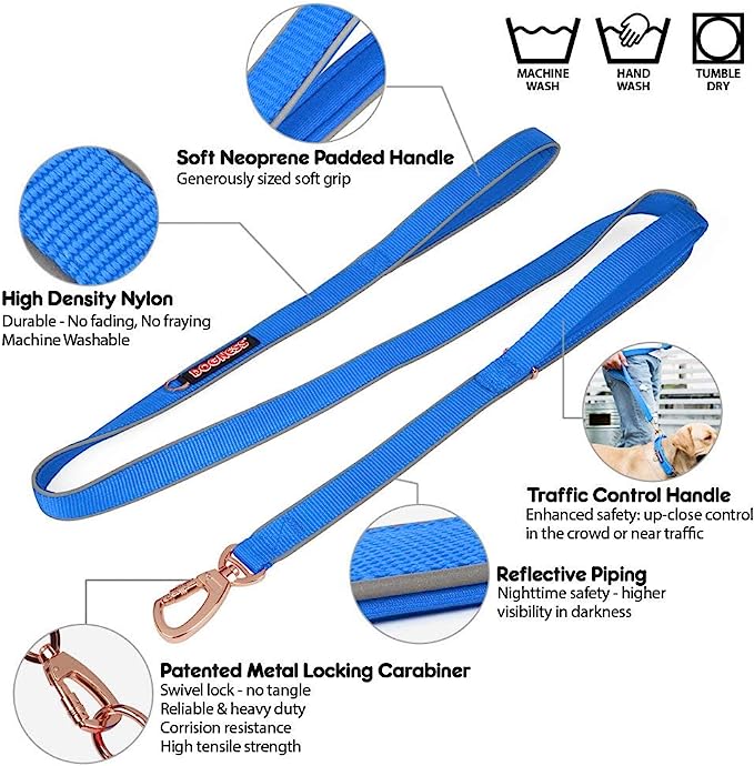 CLASSIC BLUE LEASH L DOGNESS