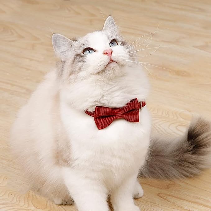 COLLAR PARA GATO CON LAZO
