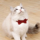 COLLAR PARA GATO CON LAZO
