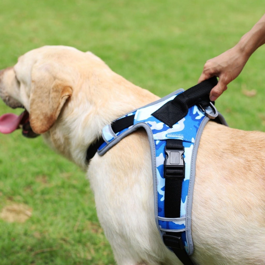 HARNESS CAMO BLUE L/XL DOGNESS