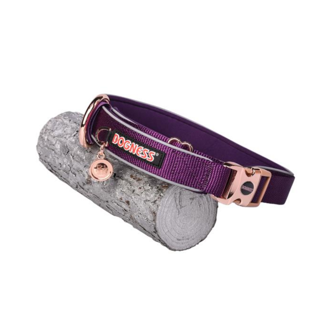 CLASSIC PURPLE COLLAR M/L DOGNESS