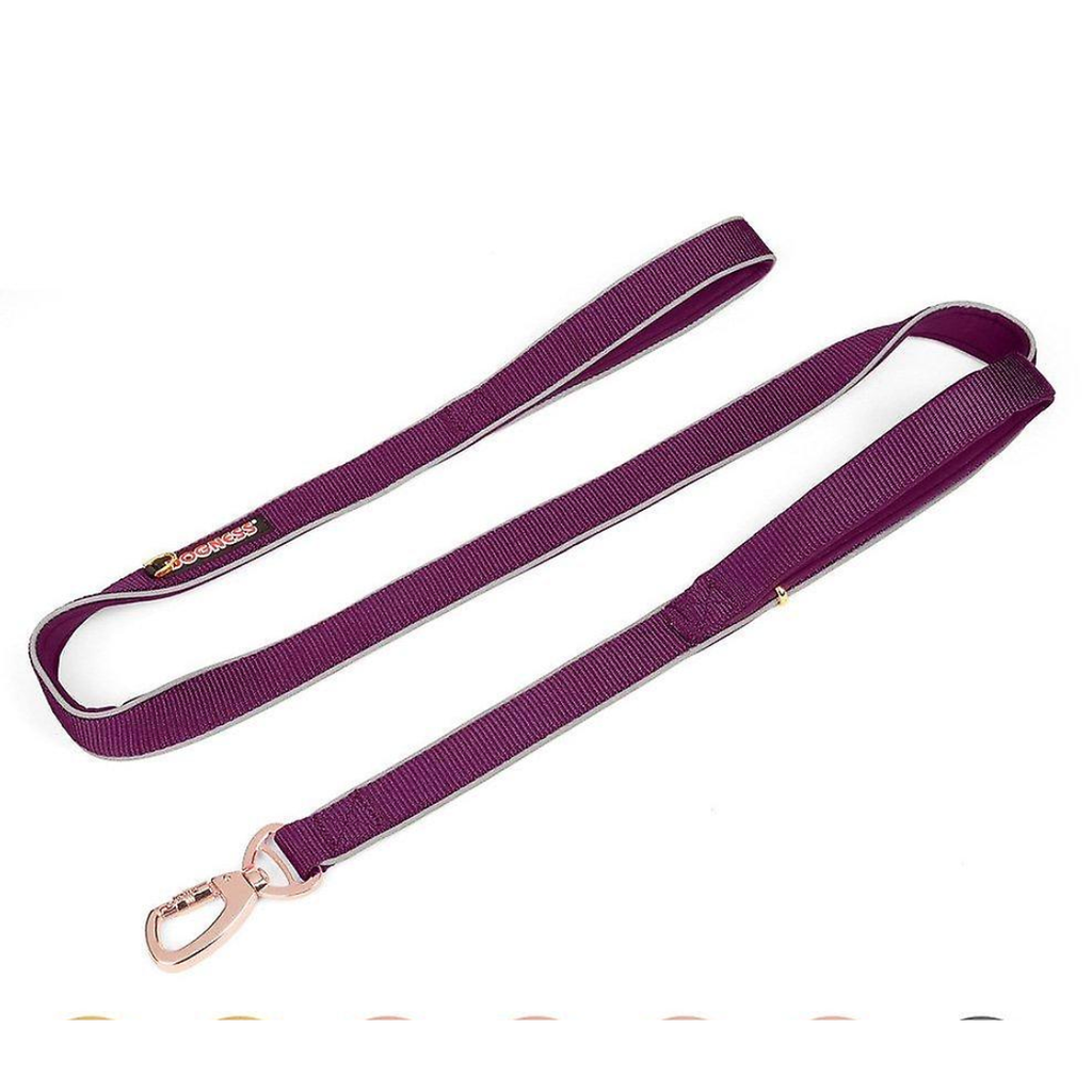CLASSIC PURPLE LEASH M DOGNESS