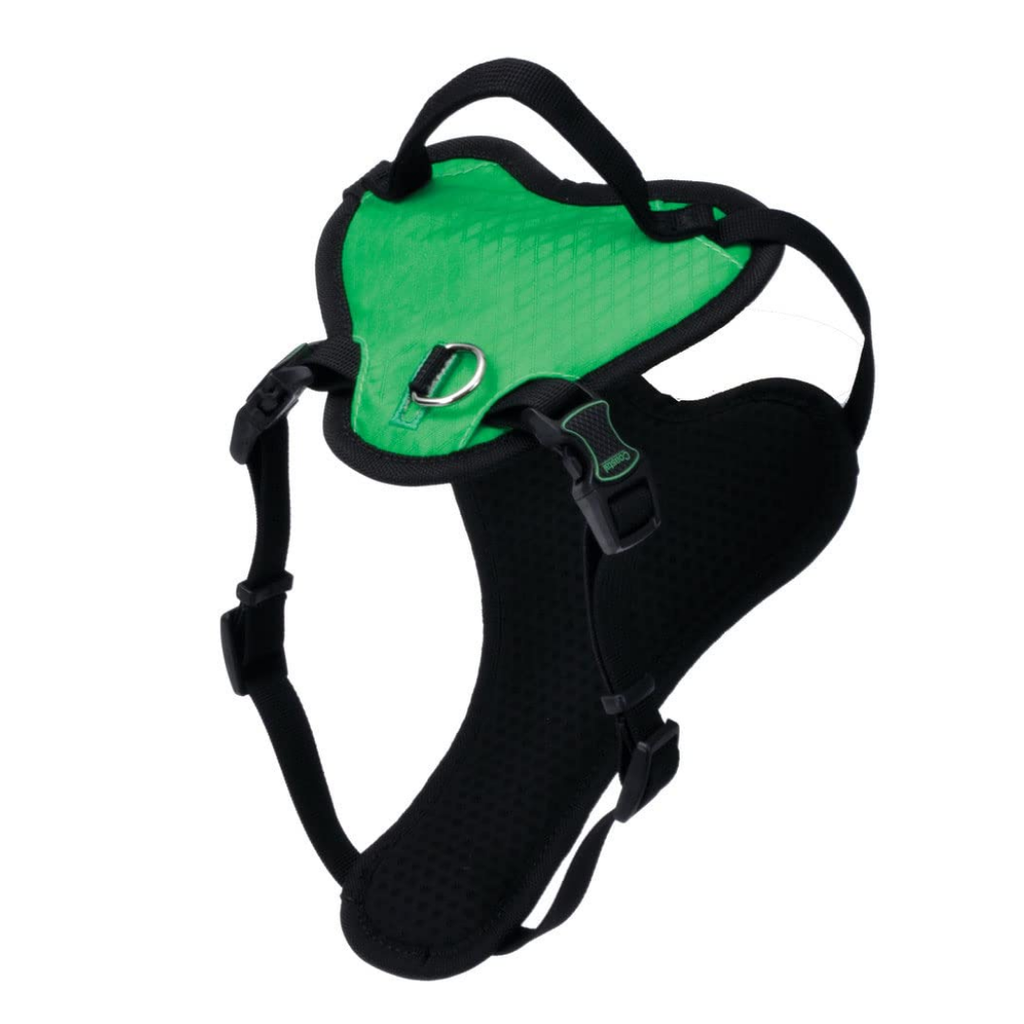 COASTAL HARNESS  INSPIRE GREEN LARGE 1"