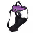 COASTAL HARNESS  INSPIRE PURPLE LARGE 1"