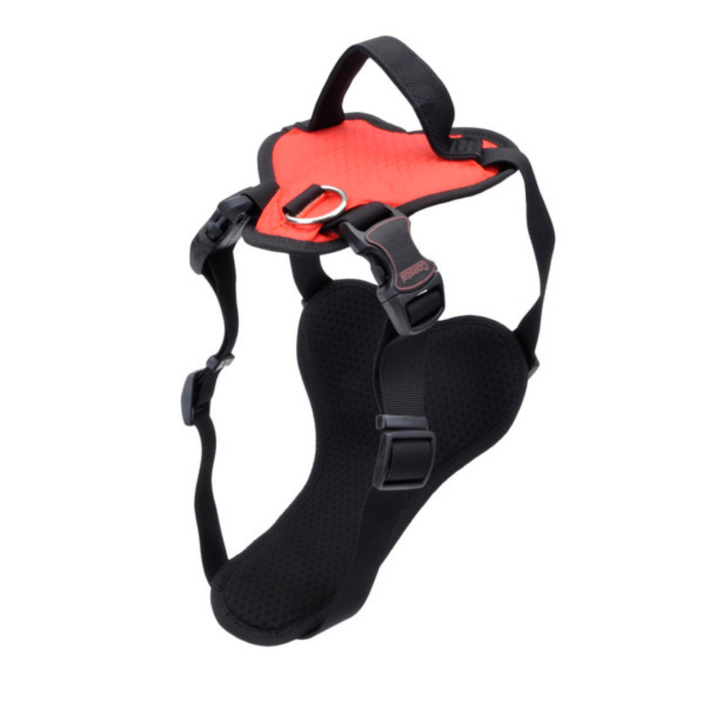 COASTAL HARNESS  INSPIRE RED SMALL 5/8"