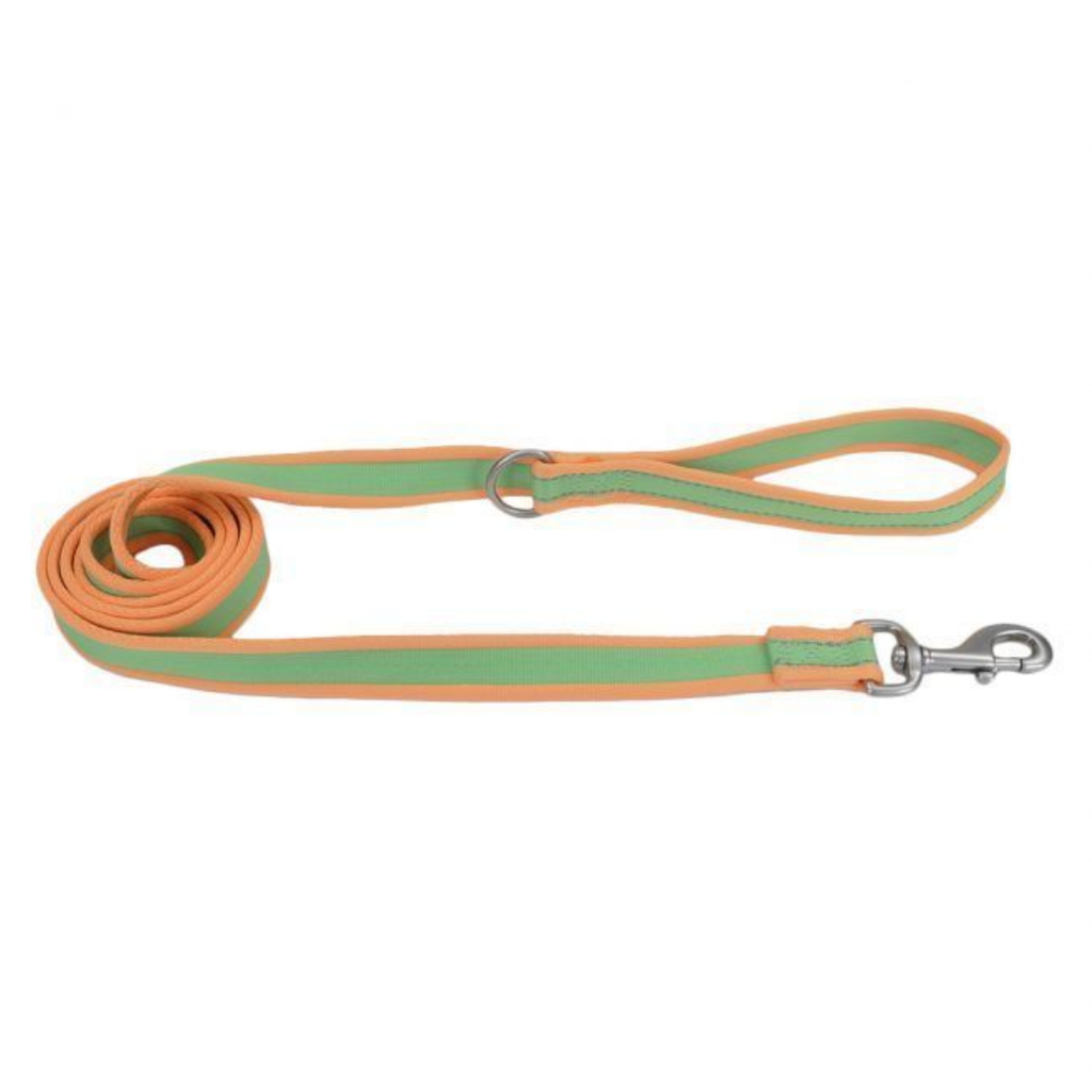 COASTAL LEASH ORANGE WITH GREY 6" 12926LWO06