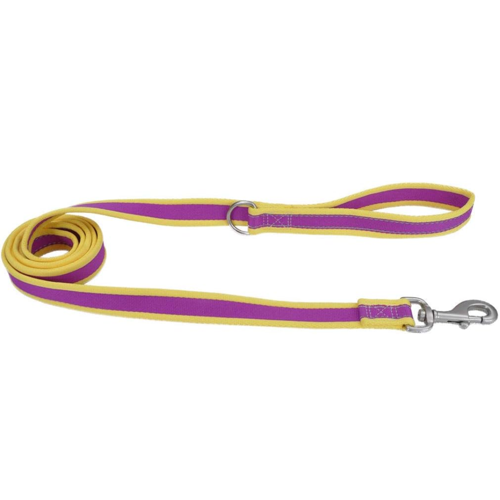 COASTAL LEASH PURPLE WITH YELLOW 6" 12926PMY06