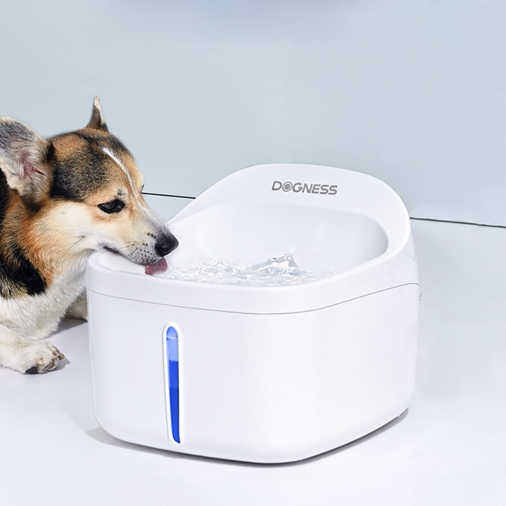 FOUNTAIN WHITE DOGNESS