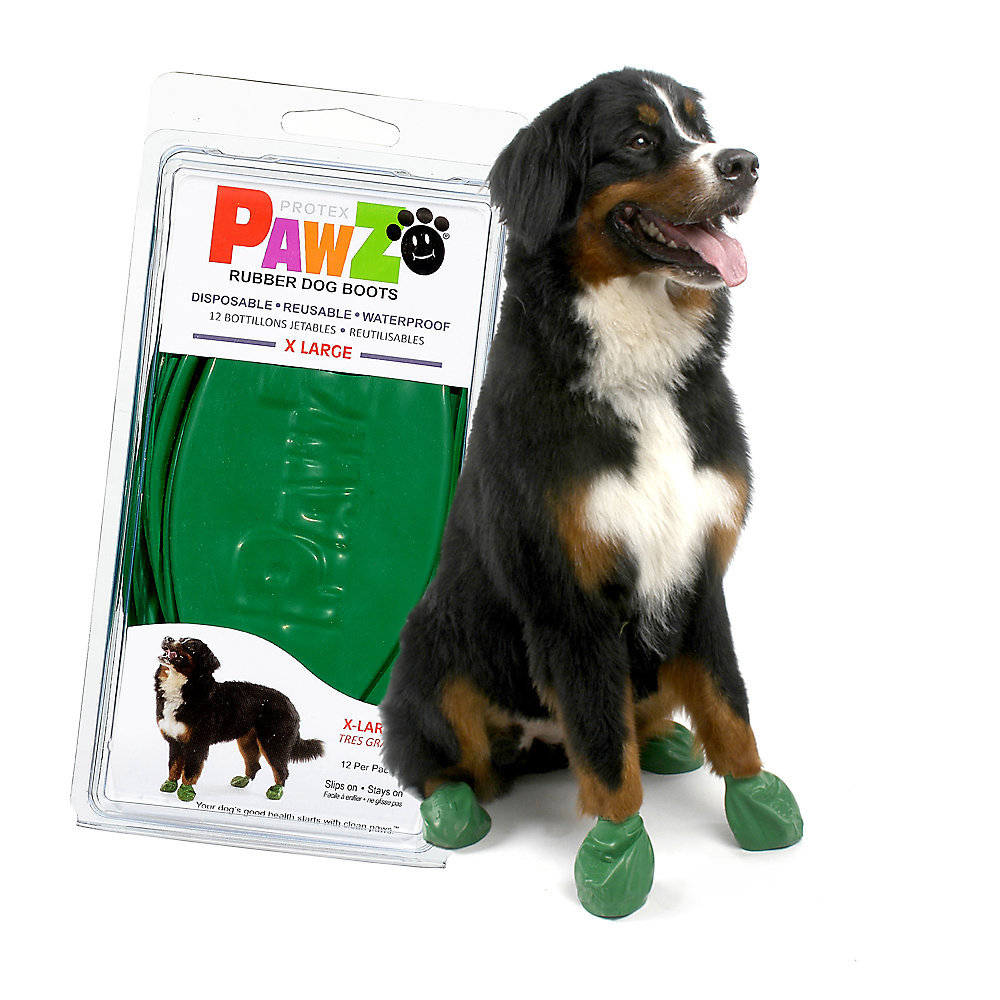 PAWZ BOTITAS GOMA DESECHABLES XL