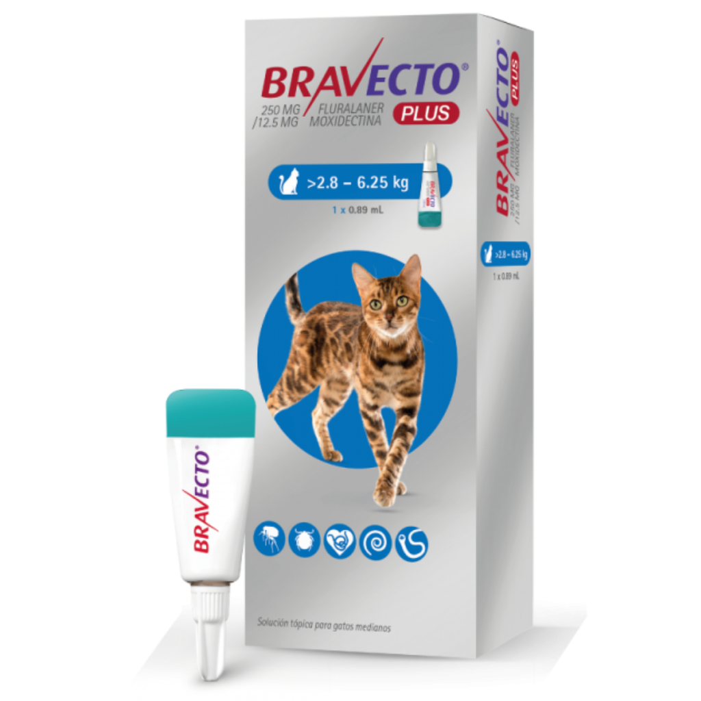 BRAVECTO PLUS GATO 2.8-6.25KG 250MG