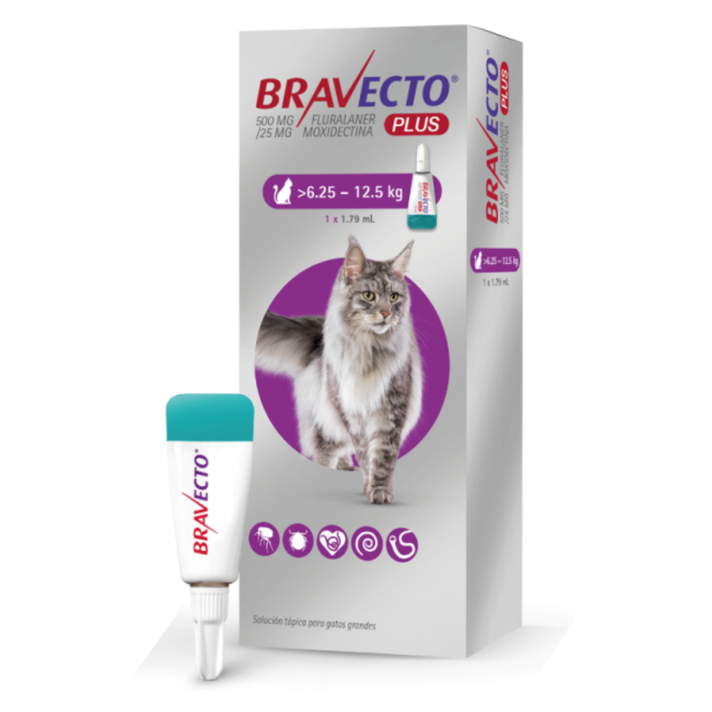 BRAVECTO PLUS GATO 6.25-12.5KG 500MG