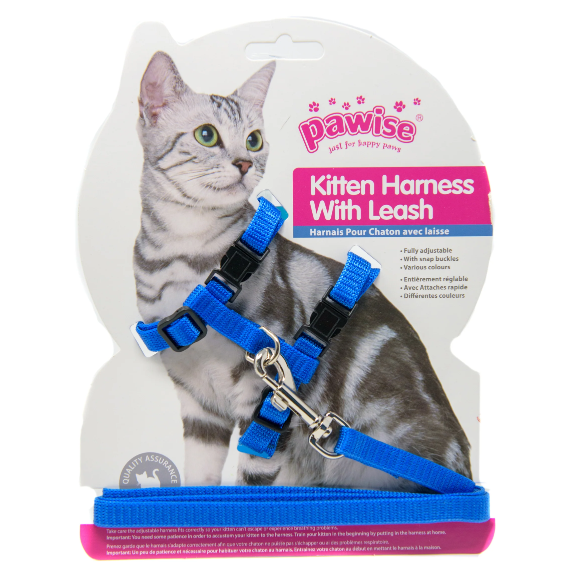 JUEGO DE CORREA Y HARNESS PARA GATO