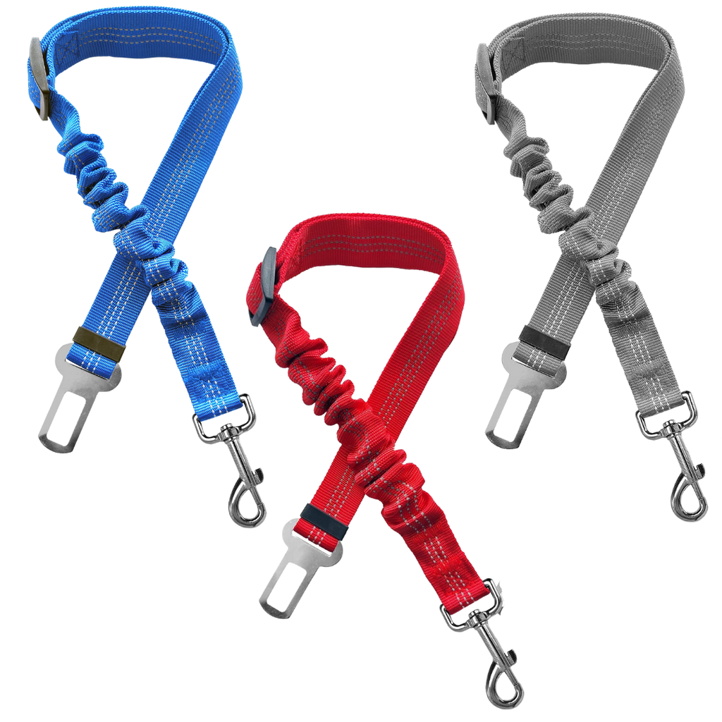 CORREA DE SEGURIDAD PARA AUTO CON BUNGEE