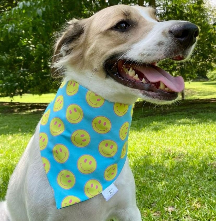 BANDANA HAPPY FACES XXS-XS