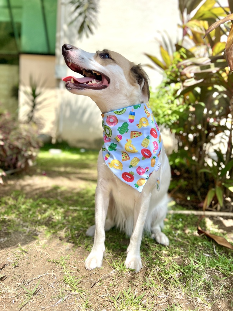 BANDANA OBJETOS DE PLAYA/ TALLA XXS-XS