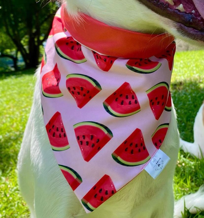 BANDANA SANDÍAS S-M