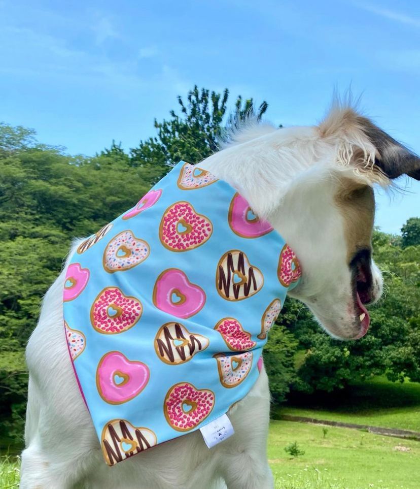 BANDANA DONAS S-M