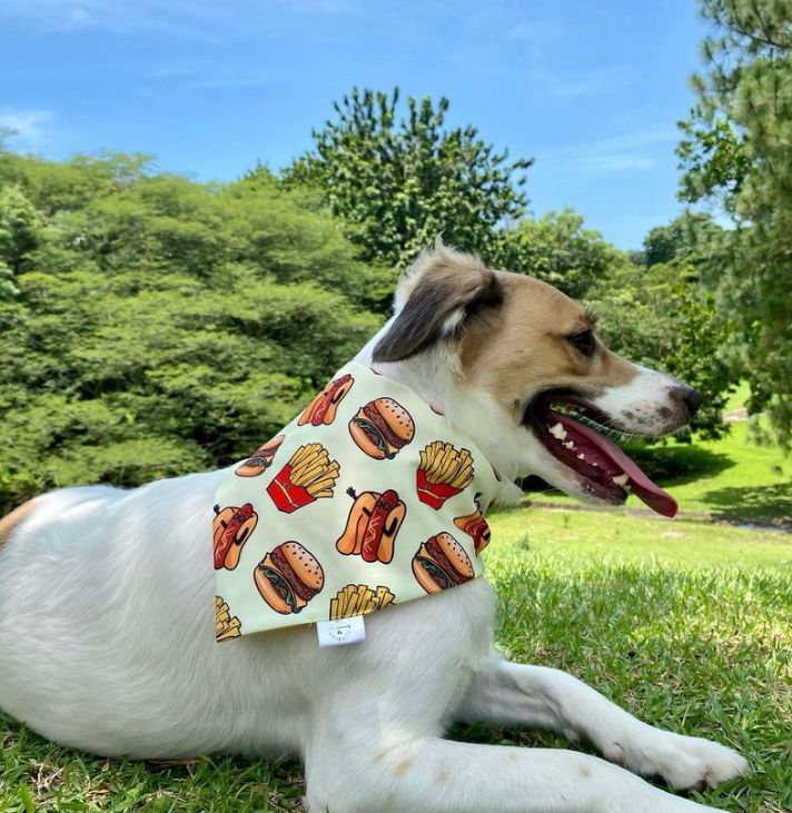 BANDANA DONAS L-XL