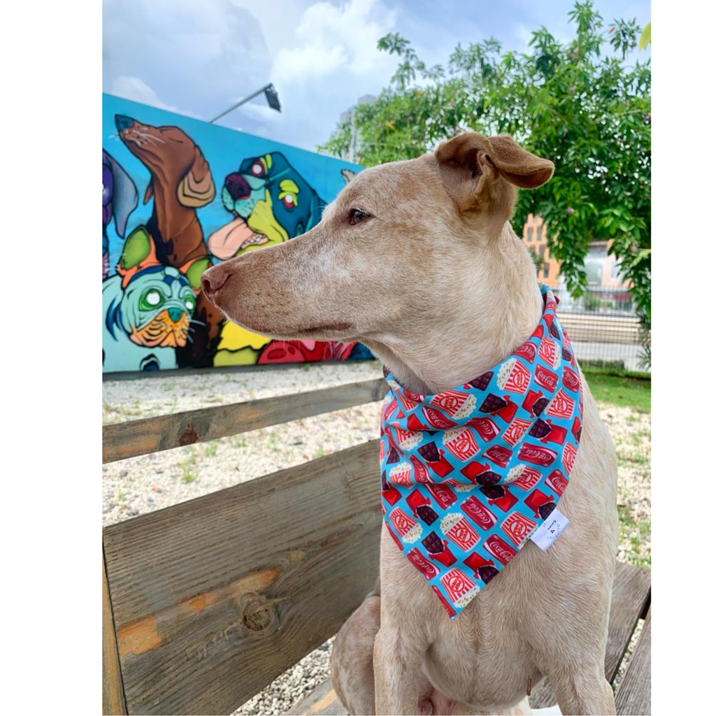 BANDANA POP CORN TAMAÑO L-XL