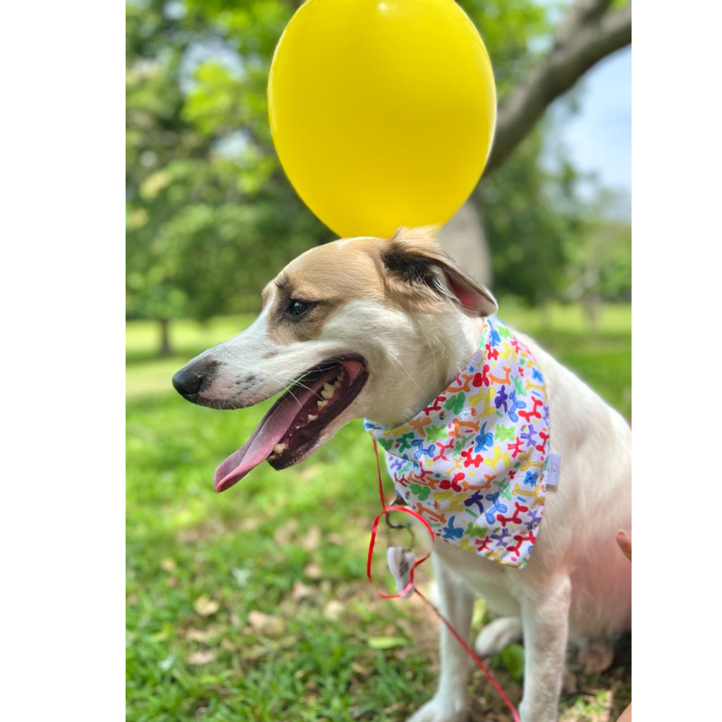 BANDANA BALLOONS TAMAÑO XS
